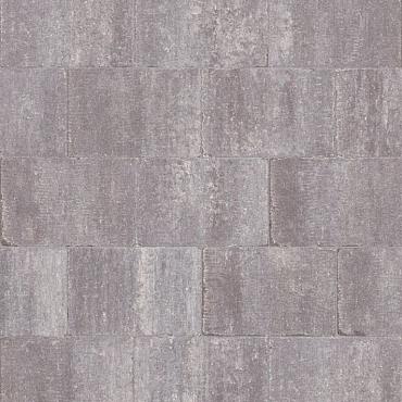 Abbeystones 20x30x6 cm Grigio met deklaag