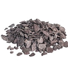 CANADIAN SLATE VIOLET